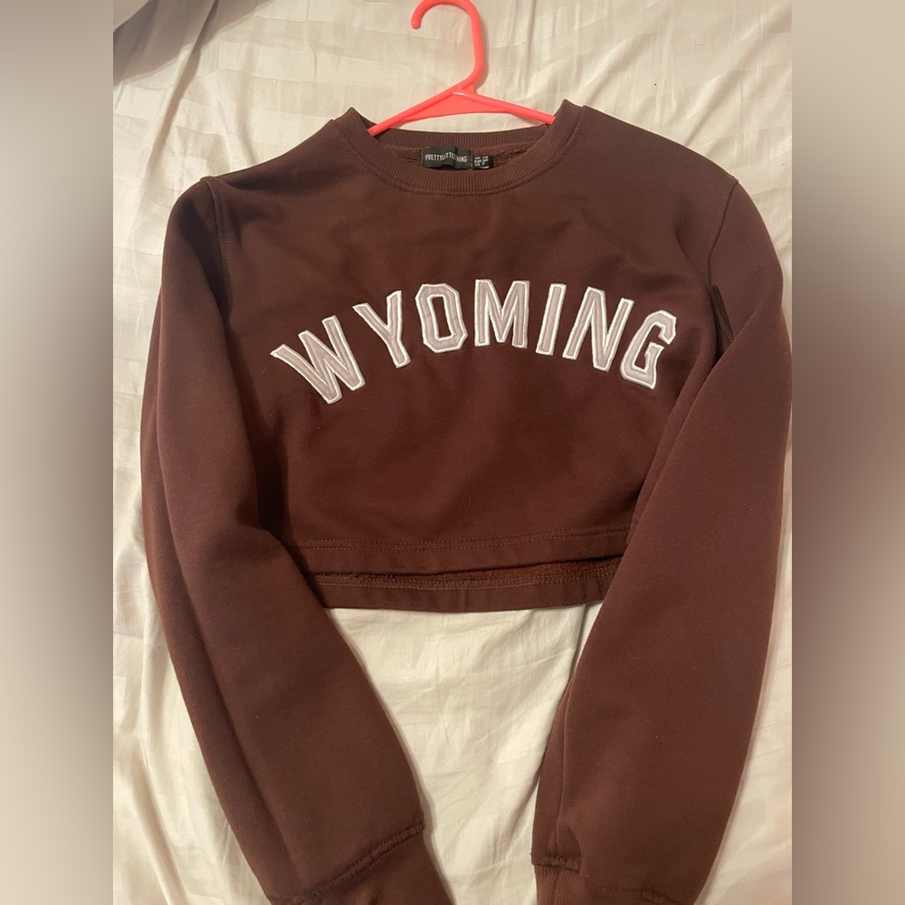 Brown Cropped Hoodie